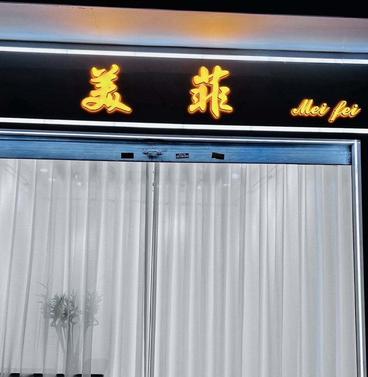 美菲